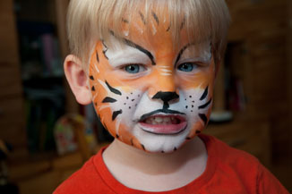 Tiger auf ganzem Gesicht